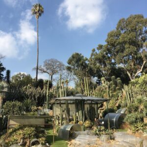 botanische tuin van napels
